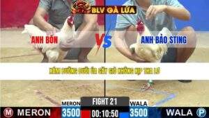 TRẬN 21 CPC2 NGÀY 24/3/2026