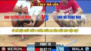 TRẬN 19 CPC2 NGÀY 26/3/2026