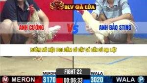 TRẬN 22 CPC2 NGÀY 20/3/2026