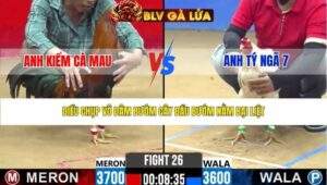 TRẬN 26 CPC2 NGÀY 31/3/2026