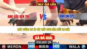 TRẬN 29 CPC3 NGÀY 22/3/2026