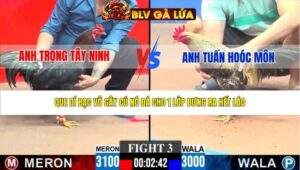 TRẬN 3 CPC3 NGÀY 29/3/2026