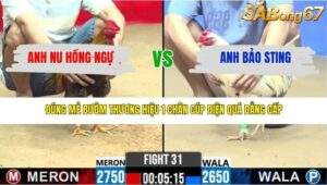 TRẬN 31 CPC2 NGÀY 14/3/2026