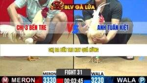 TRẬN 31 CPC2 NGÀY 16/3/2026