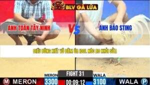 TRẬN 31 CPC2 NGÀY 31/3/2026