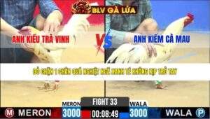 TRẬN 33 CPC2 NGÀY 31/3/2026