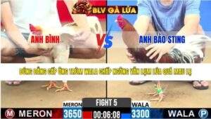 TRẬN 5 CPC2 NGÀY 14/3/2026