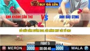 TRẬN 5 CPC2 NGÀY 18/3/2026