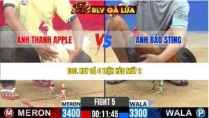 TRẬN 5 CPC2 NGÀY 24/3/2026