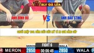 TRẬN 6 CPC2 NGÀY 24/3/2026