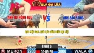 TRẬN 6 CPC2 NGÀY 31/3/2026