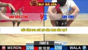 TRẬN 8 CPC2 NGÀY 25/3/2026