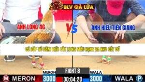 TRẬN 8 CPC2 NGÀY 31/3/2026