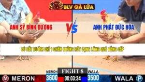 TRẬN 8 CPC3 NGÀY 21/3/2026