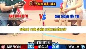 TRẬN 8 CPC3 NGÀY 31/3/2026