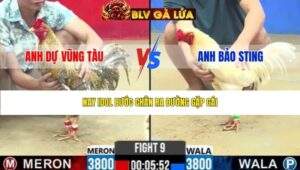 TRẬN 9 CPC2 NGÀY 20/3/2026