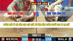 TRẬN 21 CPC2 NGÀY 7/4/2026