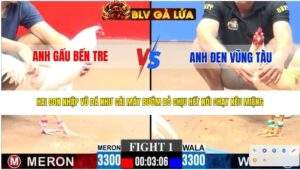 TRẬN 1 CPC3 NGÀY 12/4/2026