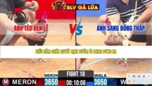 TRẬN 10 CPC2 NGÀY 15/4/2026