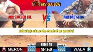 TRẬN 10 CPC2 NGÀY 17/4/2026