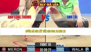 TRẬN 10 CPC2 NGÀY 24/4/2026