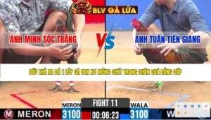 TRẬN 11 CPC2 NGÀY 15/4/2026