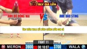 TRẬN 11 CPC2 NGÀY 25/4/2026