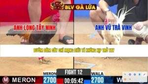 TRẬN 12 CPC2 NGÀY 13/4/2026