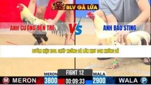 TRẬN 12 CPC2 NGÀY 24/4/2026