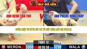 TRẬN 12 CPC2 NGÀY 25/4/2026