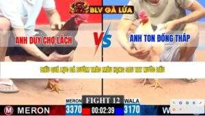 TRẬN 12 CPC3 NGÀY 16/4/2026