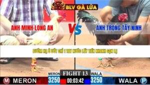 TRẬN 13 CPC3 NGÀY 23/4/2026