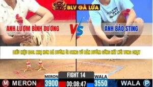 TRẬN 14 CPC2 NGÀY 17/4/2026