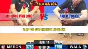 TRẬN 14 CPC2 NGÀY 18/4/2026