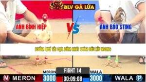 TRẬN 14 CPC2 NGÀY 22/4/2026