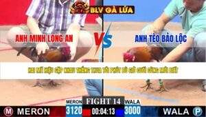 TRẬN 14 CPC3 NGÀY 16/4/2026