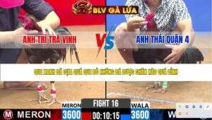 TRẬN 16 CPC2 NGÀY 13/4/2026