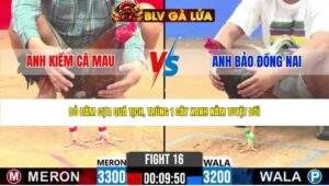 TRẬN 16 CPC2 NGÀY 16/4/2026