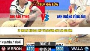 TRẬN 16 CPC2 NGÀY 24/4/2026