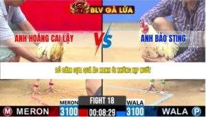 TRẬN 18 CPC2 NGÀY 22/4/2026