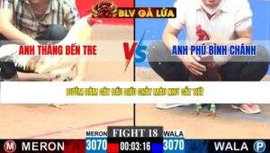 TRẬN 18 CPC3 NGÀY 20/4/2026