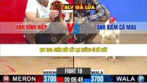 TRẬN 19 CPC2 NGÀY 17/4/2026