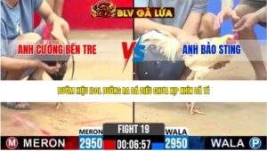 TRẬN 19 CPC2 NGÀY 24/4/2026