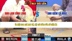 TRẬN 2 CPC2 NGÀY 22/4/2026