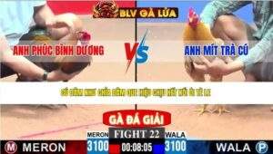 TRẬN 22 CPC3 NGÀY 19/4/2026