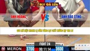 TRẬN 24 CPC2 NGÀY 15/4/2026