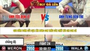 TRẬN 24 CPC2 NGÀY 24/4/2026