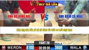 TRẬN 28 CPC2 NGÀY 16/4/2026