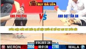 TRẬN 28 CPC3 NGÀY 23/4/2026