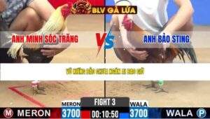 TRẬN 3 CPC2 NGÀY 22/4/2026